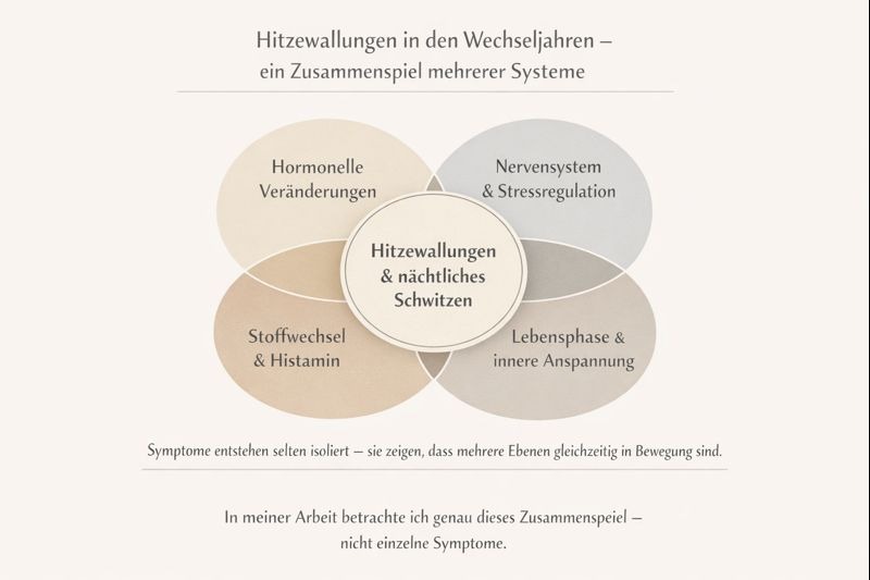 Grafik hormonelle Zusammenhänge bei Hitzewallungen und nächtlichem Schwitzen